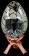 Septarian Dragon Egg Geode - Removable Section #59259-1